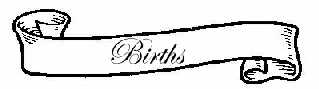 Births from Valterice, Branna etc.